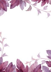 physocarpus opulifolius_form A4_05