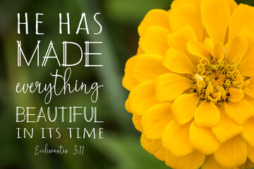 Close up of yellow zinnia flower, Ecclesiastes 3:11, Bible Verse, He has made everything beautiful in its time, scripture