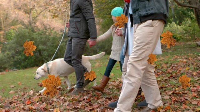 Digital composition of autumn maple leaves icons floating over caucasian family walking in the park