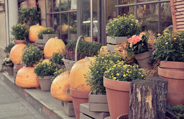 Gifts of autumn. Pumpkins and beautiful flowers with heather are in boxes and baskets as a decoration on the street of the city. Autumn decoration of the store. Beautiful vegetables in the basket.