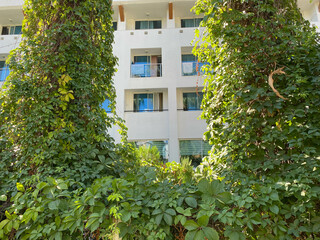 Fototapeta na wymiar A modern resort building with white walls set against a clear sky backdrop. There is a garden with trees in front of the balcony. Minimalistic tropical resort vacation concept