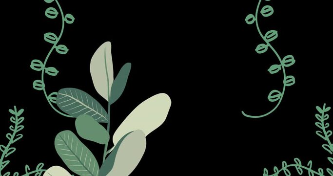 Animation of plants growing on black background