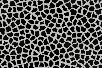Leopard seamless pattern design