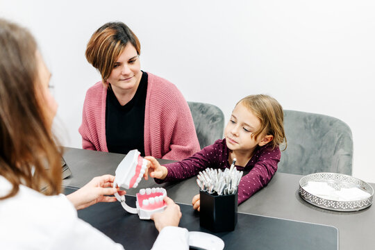 Dentist showing tooth model to mother with daughter at desk in medical practice