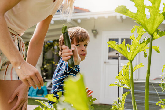 Portrait of boy with mother in garden showing a courgette