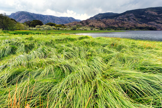 Spain, Zamora Province, Sanabria Lake Natural Park