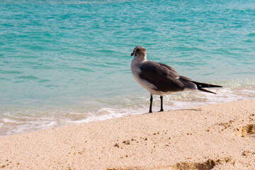 Cancun Beach