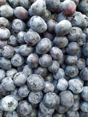 Fresh Blueberry Background. Texture blueberry berries close up. Sprinkle blueberries. Ripe blueberries with copy space for text. Fresh blueberries scattered.
