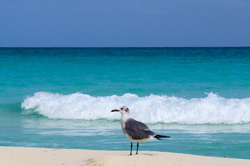 Cancun Beach