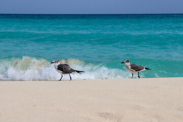 Cancun Beach