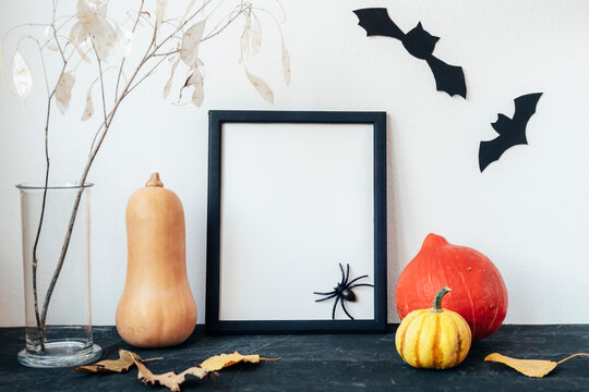 Blank picture frame, hokkaido pumpkins, lunaria dry flowers in glass vase, bats and spider on black table. Mockup, copy space. Halloween holiday concept