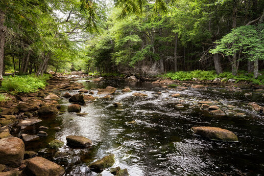 Canada, Annapolis County, Landscape with Mersey River
