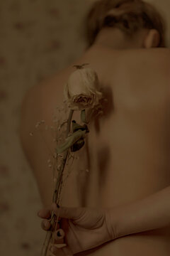 Rear view of nude woman lying in bed with dried flower