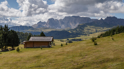 Fototapeta na wymiar Alpe di Siusi with a view on the Sassalungo mountain at the Dolomites Italy