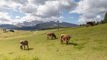 Fototapeta na wymiar Dreizinnen or the Tre Cime di Lavaredo at the Dolomites Italy