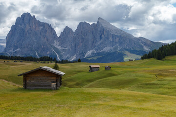 Alpe di Siusi with a view on the Sassalungo mountain at the Dolomites Italy