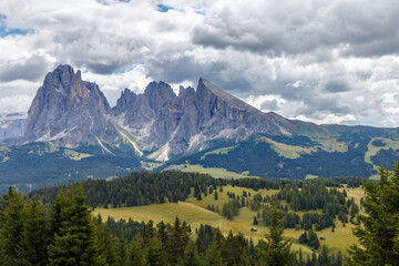 Alpe di Siusi with a view on the Sassalungo mountain at the Dolomites Italy