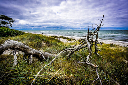 Germany, Mecklenburg-Western Pomerania, Zingst, beach