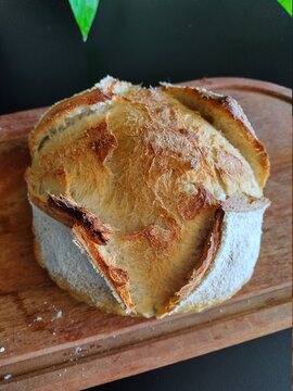 homemade apple pie