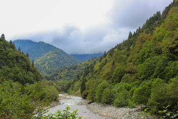 Fototapeta na wymiar Forest and River Inside Foggy Mountain