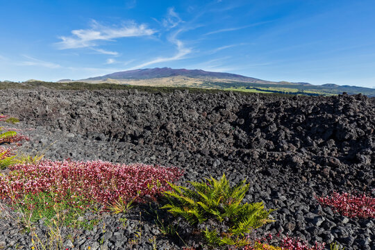 USA, Hawaii, Mauna Loa volcano, lava fields