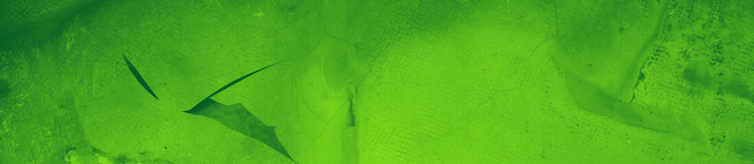 Fototapeta premium abstract green bright color background for design