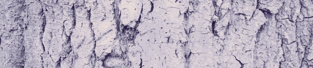 abstract pale violet color background for design