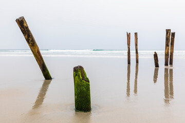 New Zealand, Oceania, South Island, Otago, Dunedin, Saint Clair Poles, old wooden posts of pier on Saint Clair Beach