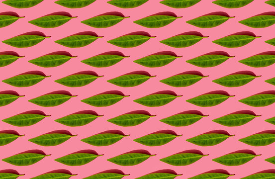 Pattern of green leaves against pink background
