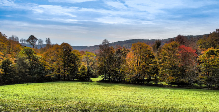 Beautiful autumn leaves. Colors change with the season on row of trees at green, grassy field's edge.  Hilltops behind and blue sky with wispy clouds above.  Catskill Mountains, New York State, USA.