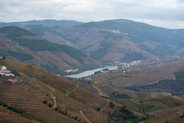 Fototapeta premium Panoramic view on Douro river valley and colorful hilly stair step terraced vineyards in autumn, wine making industry in Portugal
