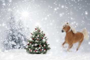 Weihnachten - Haflinger Pferd im Galopp über Winterlandschaft mit Christbaum