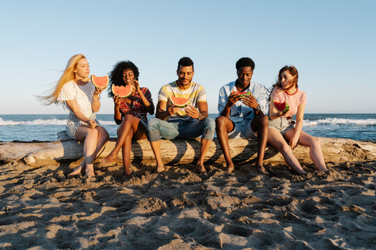 Friends sitting on log while eating watermelon at beach during sunny day