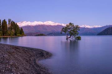 New Zealand, Otago, LakeÔøΩWanakaÔøΩand Wanaka Tree at purple dawn