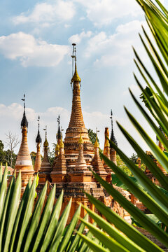 Myanmar,&Ocirc;&oslash;&Omega;Shan&Ocirc;&oslash;&Omega;State, Samkar, Palm tree leaves against Taw Mwe Khaung Pagoda