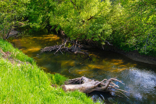 Germany, Bavaria, Altdorf bei Nurnberg, Schwarzach river in spring