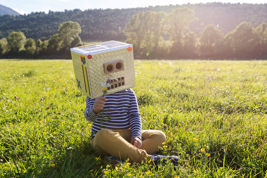 Boy with cardboard box on face holding flower while sitting on grass in meadow
