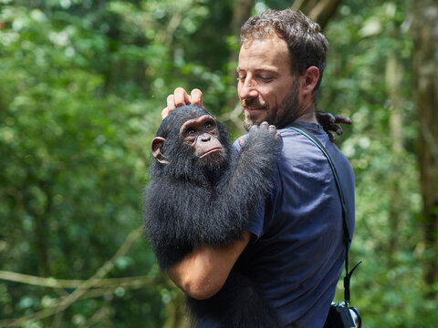 Cameroon, Pongo-Songo, Man carrying Chimpanzee (Pan troglodytes) in forest