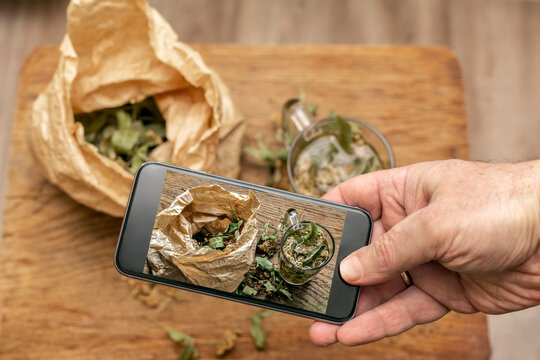Hand holding smart phone while photographing dried linden leaves in paper bag and glass of lime tea on wooden cutting board