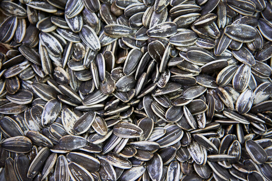 Fresh sunflower seeds at store