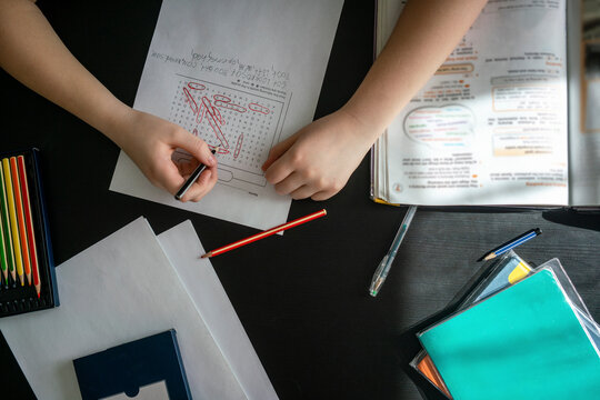 Boy doing homework for homeschooling