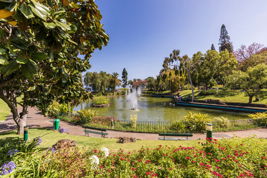 Portugal, Madeira Island, Funchal, Pond with fountains at Santa Catarina Park, Parque de Santa Catarina
