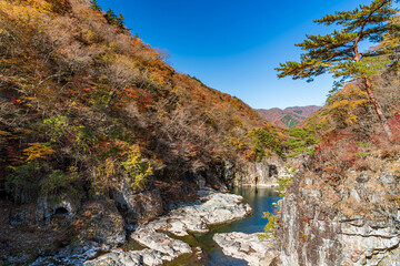 【栃木県】紅葉時期の龍王峡