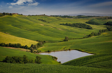 Obraz premium landscape with green field and blue sky