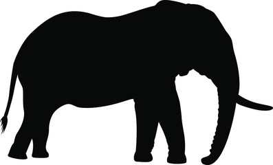 Vector Elephant silhouette isolated on white background.