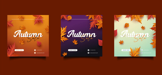 Naklejka premium Autumn sale offer leaves background vector illustration