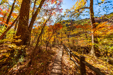 【栃木県】紅葉時期の龍王峡