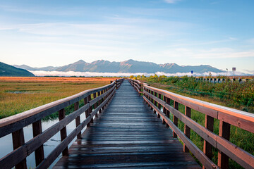 A wooden boardwalk in Potter Marsh Bird Sanctuary, Alaska