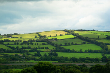 Agriculture and farmland in brightly colored green squares of property in Ireland.