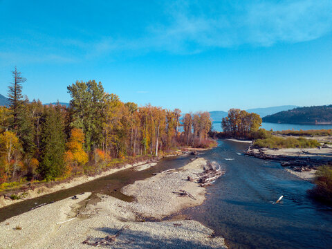 Canada, British Columbia, Aerial view of Adams River during salmon run in autumn